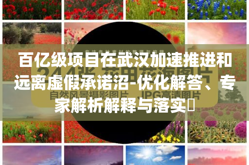 百億級(jí)項(xiàng)目在武漢加速推進(jìn)和遠(yuǎn)離虛假承諾沼-優(yōu)化解答、專家解析解釋與落實(shí)?