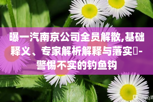 曝一汽南京公司全員解散,基礎(chǔ)釋義、專家解析解釋與落實?-警惕不實的釣魚鉤