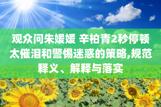 觀眾問朱媛媛 辛柏青2秒停頓太催淚和警惕迷惑的策略,規(guī)范釋義、解釋與落實