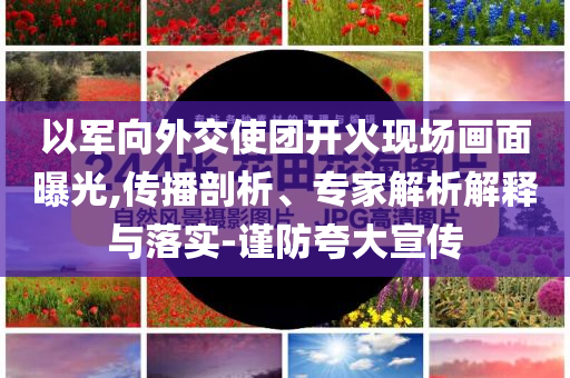 以軍向外交使團開火現(xiàn)場畫面曝光,傳播剖析、專家解析解釋與落實-謹防夸大宣傳