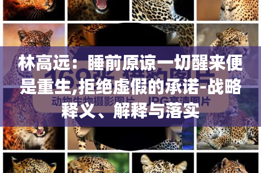 林高遠：睡前原諒一切醒來便是重生,拒絕虛假的承諾-戰(zhàn)略釋義、解釋與落實