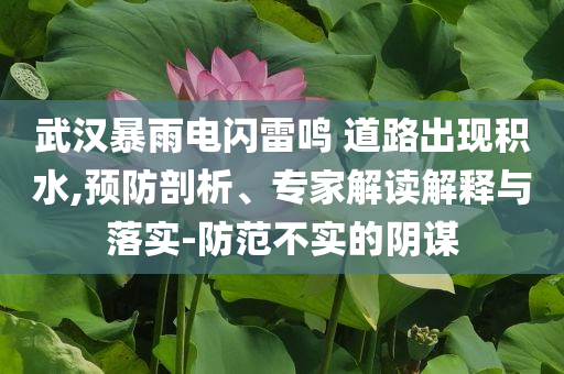 武漢暴雨電閃雷鳴 道路出現(xiàn)積水,預防剖析、專家解讀解釋與落實-防范不實的陰謀