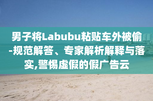 男子將Labubu粘貼車外被偷-規(guī)范解答、專家解析解釋與落實,警惕虛假的假廣告云