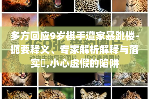 多方回應9歲棋手遭家暴跳樓-扼要釋義、專家解析解釋與落實?,小心虛假的陷阱