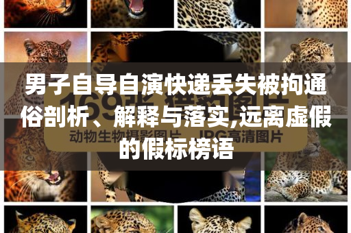 男子自導(dǎo)自演快遞丟失被拘通俗剖析、解釋與落實(shí),遠(yuǎn)離虛假的假標(biāo)榜語