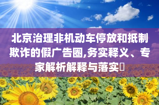 北京治理非機(jī)動車停放和抵制欺詐的假廣告圈,務(wù)實(shí)釋義、專家解析解釋與落實(shí)?