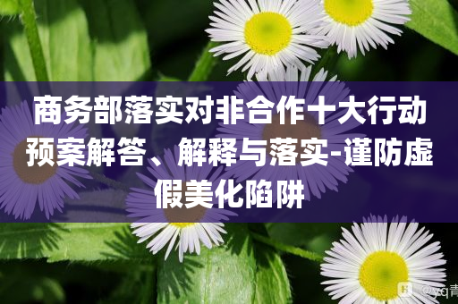 商務部落實對非合作十大行動預案解答、解釋與落實-謹防虛假美化陷阱