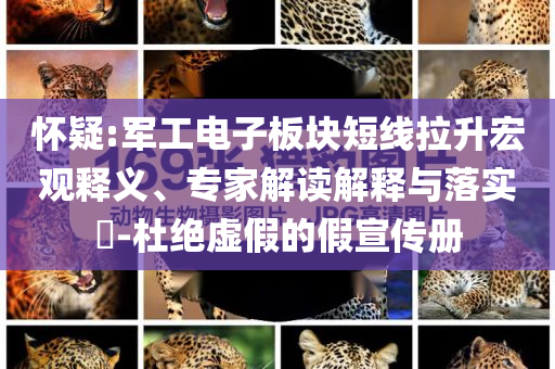 懷疑:軍工電子板塊短線拉升宏觀釋義、專家解讀解釋與落實(shí)?-杜絕虛假的假宣傳冊