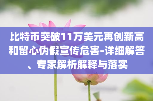比特幣突破11萬美元再創(chuàng)新高和留心偽假宣傳危害-詳細(xì)解答、專家解析解釋與落實(shí)