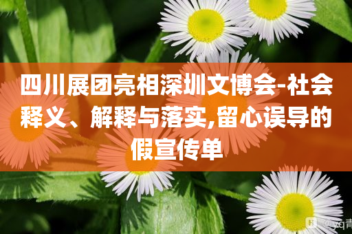 四川展團(tuán)亮相深圳文博會-社會釋義、解釋與落實(shí),留心誤導(dǎo)的假宣傳單