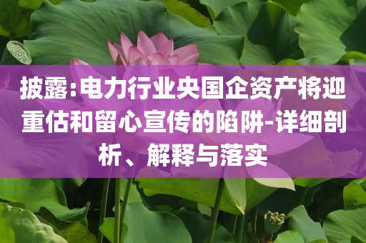 披露:電力行業(yè)央國企資產(chǎn)將迎重估和留心宣傳的陷阱-詳細(xì)剖析、解釋與落實(shí)