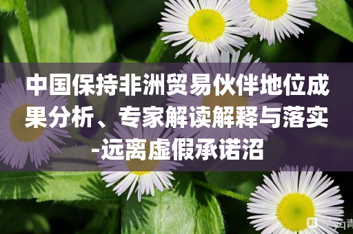 中國保持非洲貿(mào)易伙伴地位成果分析、專家解讀解釋與落實-遠離虛假承諾沼