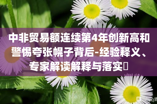 中非貿(mào)易額連續(xù)第4年創(chuàng)新高和警惕夸張幌子背后-經(jīng)驗釋義、專家解讀解釋與落實?