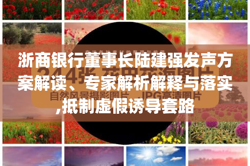 浙商銀行董事長陸建強發(fā)聲方案解讀、專家解析解釋與落實,抵制虛假誘導套路