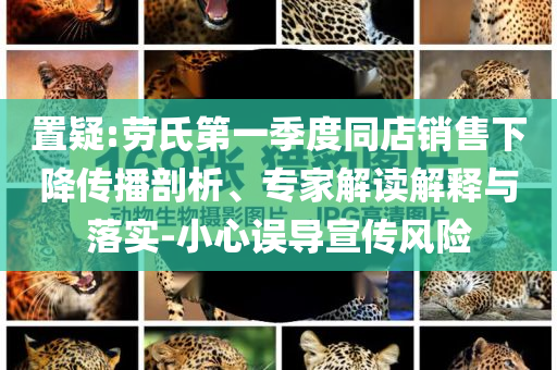 置疑:勞氏第一季度同店銷售下降傳播剖析、專家解讀解釋與落實(shí)-小心誤導(dǎo)宣傳風(fēng)險(xiǎn)