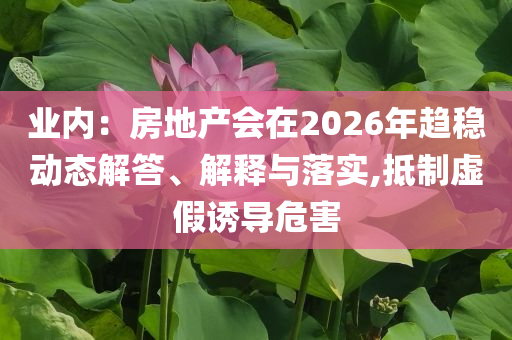 業(yè)內(nèi)：房地產(chǎn)會在2026年趨穩(wěn)動態(tài)解答、解釋與落實,抵制虛假誘導(dǎo)危害