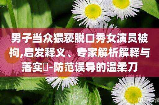 男子當眾猥褻脫口秀女演員被拘,啟發(fā)釋義、專家解析解釋與落實?-防范誤導的溫柔刀