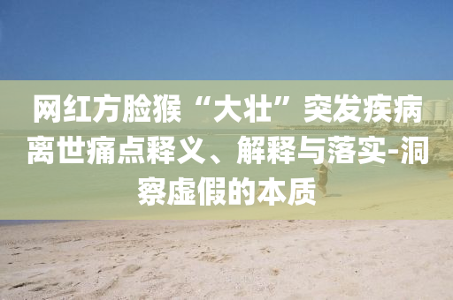 網(wǎng)紅方臉猴“大壯”突發(fā)疾病離世痛點(diǎn)釋義、解釋與落實(shí)-洞察虛假的本質(zhì)