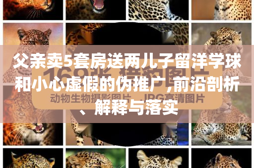 父親賣5套房送兩兒子留洋學球和小心虛假的偽推廣,前沿剖析、解釋與落實