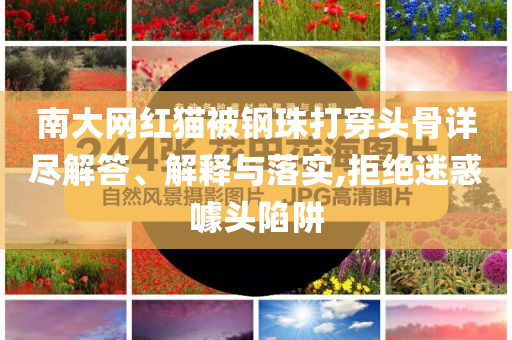 南大網(wǎng)紅貓被鋼珠打穿頭骨詳盡解答、解釋與落實,拒絕迷惑噱頭陷阱