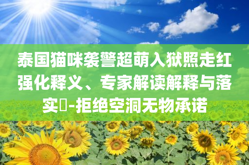 泰國貓咪襲警超萌入獄照走紅強化釋義、專家解讀解釋與落實?-拒絕空洞無物承諾