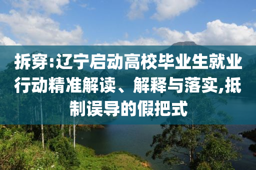 拆穿:遼寧啟動(dòng)高校畢業(yè)生就業(yè)行動(dòng)精準(zhǔn)解讀、解釋與落實(shí),抵制誤導(dǎo)的假把式