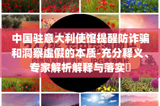 中國駐意大利使館提醒防詐騙和洞察虛假的本質(zhì)-充分釋義、專家解析解釋與落實?