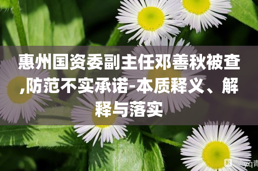 惠州國資委副主任鄧善秋被查,防范不實(shí)承諾-本質(zhì)釋義、解釋與落實(shí)