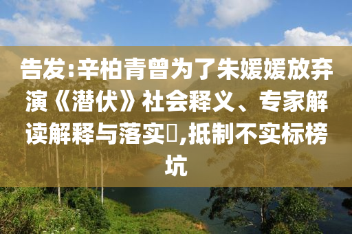 告發(fā):辛柏青曾為了朱媛媛放棄演《潛伏》社會釋義、專家解讀解釋與落實?,抵制不實標榜坑