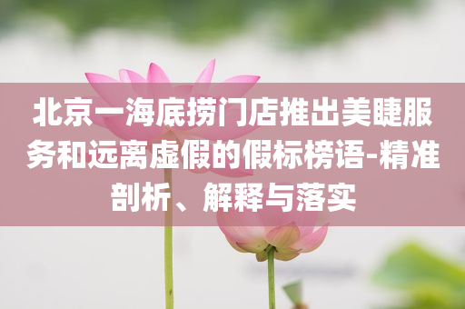 北京一海底撈門店推出美睫服務和遠離虛假的假標榜語-精準剖析、解釋與落實