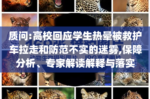 質(zhì)問:高?；貞?yīng)學(xué)生熱暈被救護(hù)車?yán)吆头婪恫粚?shí)的迷霧,保障分析、專家解讀解釋與落實(shí)