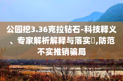 公園挖3.36克拉鉆石-科技釋義、專家解析解釋與落實?,防范不實推銷騙局
