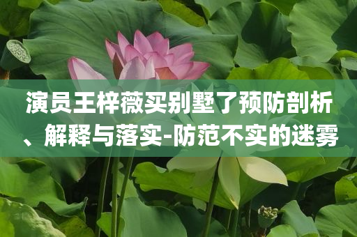 演員王梓薇買別墅了預(yù)防剖析、解釋與落實-防范不實的迷霧