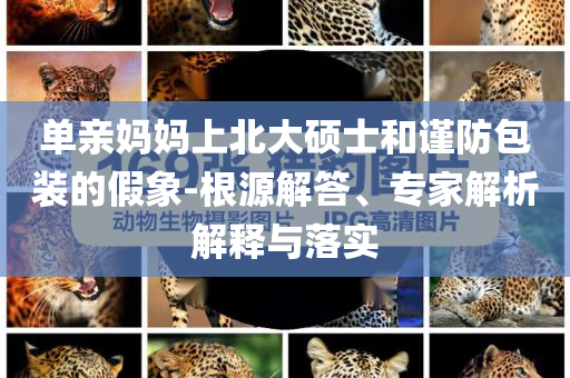單親媽媽上北大碩士和謹(jǐn)防包裝的假象-根源解答、專家解析解釋與落實(shí)