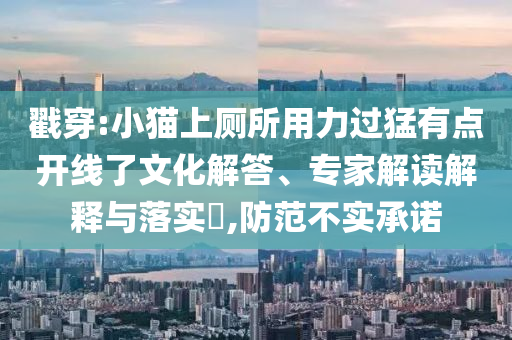 戳穿:小貓上廁所用力過(guò)猛有點(diǎn)開(kāi)線了文化解答、專(zhuān)家解讀解釋與落實(shí)?,防范不實(shí)承諾
