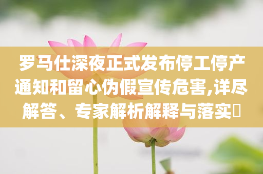 羅馬仕深夜正式發(fā)布停工停產(chǎn)通知和留心偽假宣傳危害,詳盡解答、專家解析解釋與落實(shí)?