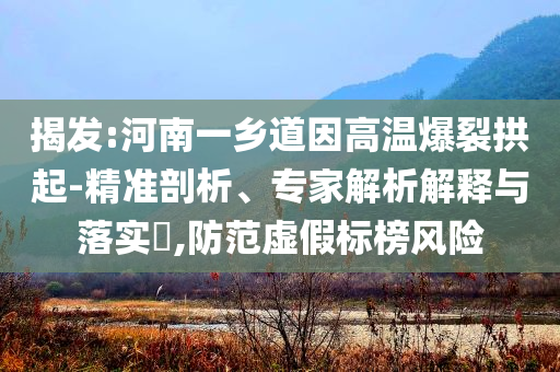 揭發(fā):河南一鄉(xiāng)道因高溫爆裂拱起-精準(zhǔn)剖析、專家解析解釋與落實(shí)?,防范虛假標(biāo)榜風(fēng)險(xiǎn)