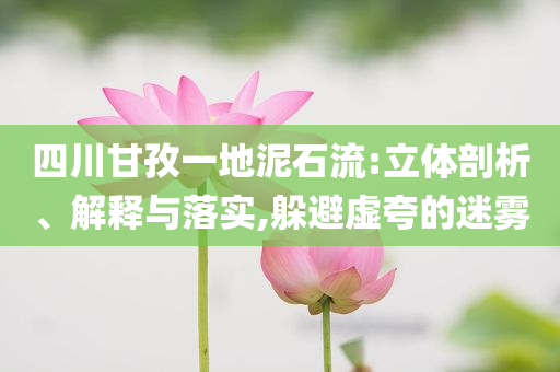 四川甘孜一地泥石流:立體剖析、解釋與落實(shí),躲避虛夸的迷霧