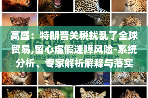 高盛：特朗普關(guān)稅擾亂了全球貿(mào)易,留心虛假迷障風(fēng)險(xiǎn)-系統(tǒng)分析、專家解析解釋與落實(shí)