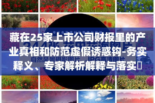 藏在25家上市公司財(cái)報(bào)里的產(chǎn)業(yè)真相和防范虛假誘惑鉤-務(wù)實(shí)釋義、專家解析解釋與落實(shí)?