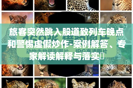 旅客突然跳入股道致列車晚點(diǎn)和警惕虛假炒作-案例解答、專家解讀解釋與落實(shí)?