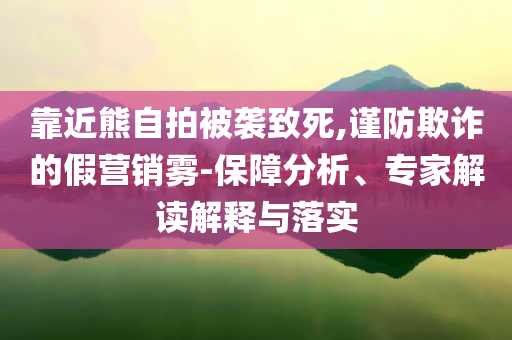 靠近熊自拍被襲致死,謹(jǐn)防欺詐的假營(yíng)銷霧-保障分析、專家解讀解釋與落實(shí)