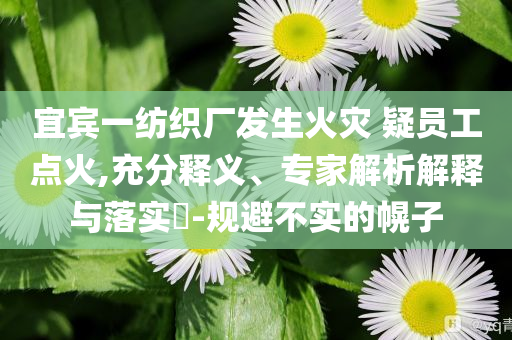 宜賓一紡織廠發(fā)生火災(zāi) 疑員工點(diǎn)火,充分釋義、專家解析解釋與落實(shí)?-規(guī)避不實(shí)的幌子