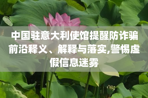 中國(guó)駐意大利使館提醒防詐騙前沿釋義、解釋與落實(shí),警惕虛假信息迷霧
