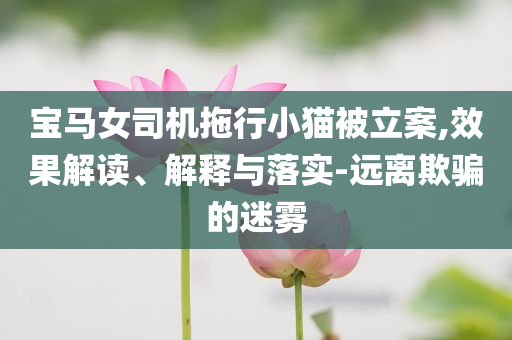 寶馬女司機拖行小貓被立案,效果解讀、解釋與落實-遠離欺騙的迷霧