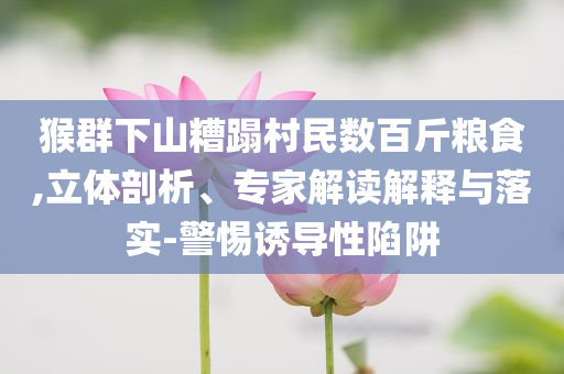猴群下山糟蹋村民數(shù)百斤糧食,立體剖析、專家解讀解釋與落實-警惕誘導性陷阱