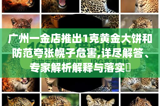 廣州一金店推出1克黃金大餅和防范夸張幌子危害,詳盡解答、專家解析解釋與落實(shí)?