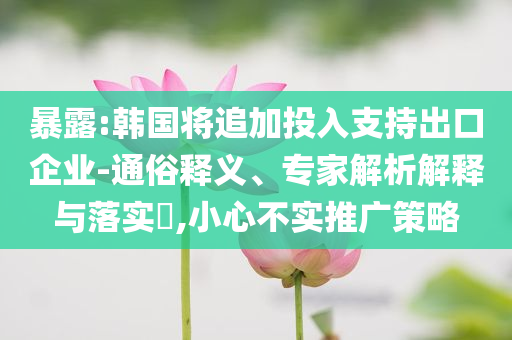 暴露:韓國將追加投入支持出口企業(yè)-通俗釋義、專家解析解釋與落實?,小心不實推廣策略