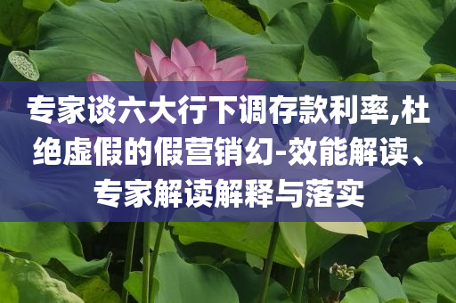 專家談六大行下調(diào)存款利率,杜絕虛假的假營銷幻-效能解讀、專家解讀解釋與落實(shí)