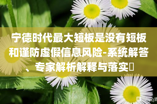 寧德時(shí)代最大短板是沒(méi)有短板和謹(jǐn)防虛假信息風(fēng)險(xiǎn)-系統(tǒng)解答、專(zhuān)家解析解釋與落實(shí)?